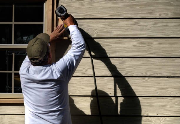 Best Custom Siding Design  in Leupp, AZ